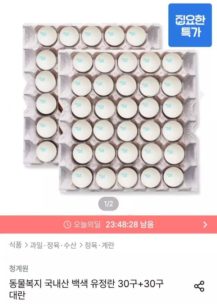 [오늘의집] 동물복지 국내산 백색 유정란 30구+30구 대란