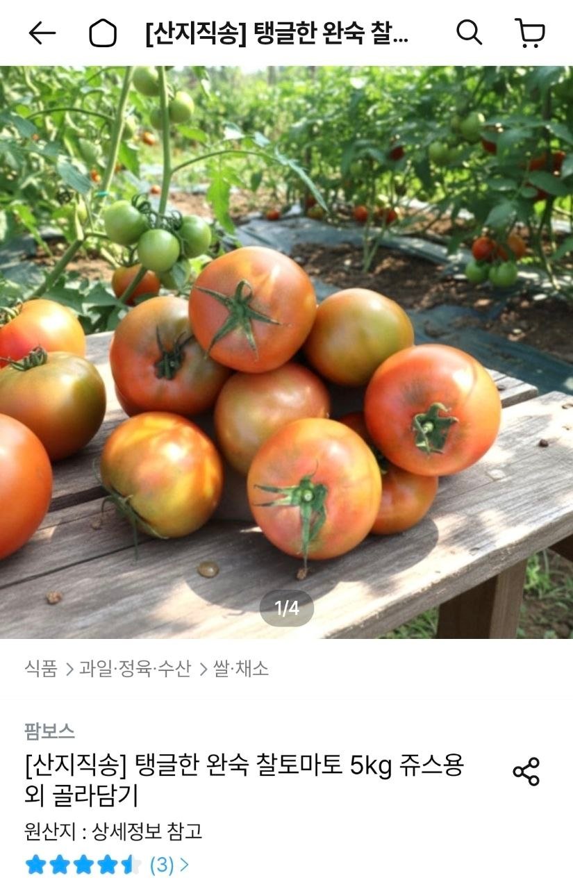 [오늘의집] 완숙 찰토마토 5kg 쥬스용