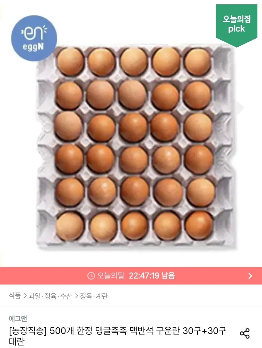 [오늘의집] 맥반석 구운란 30구+30구 대란