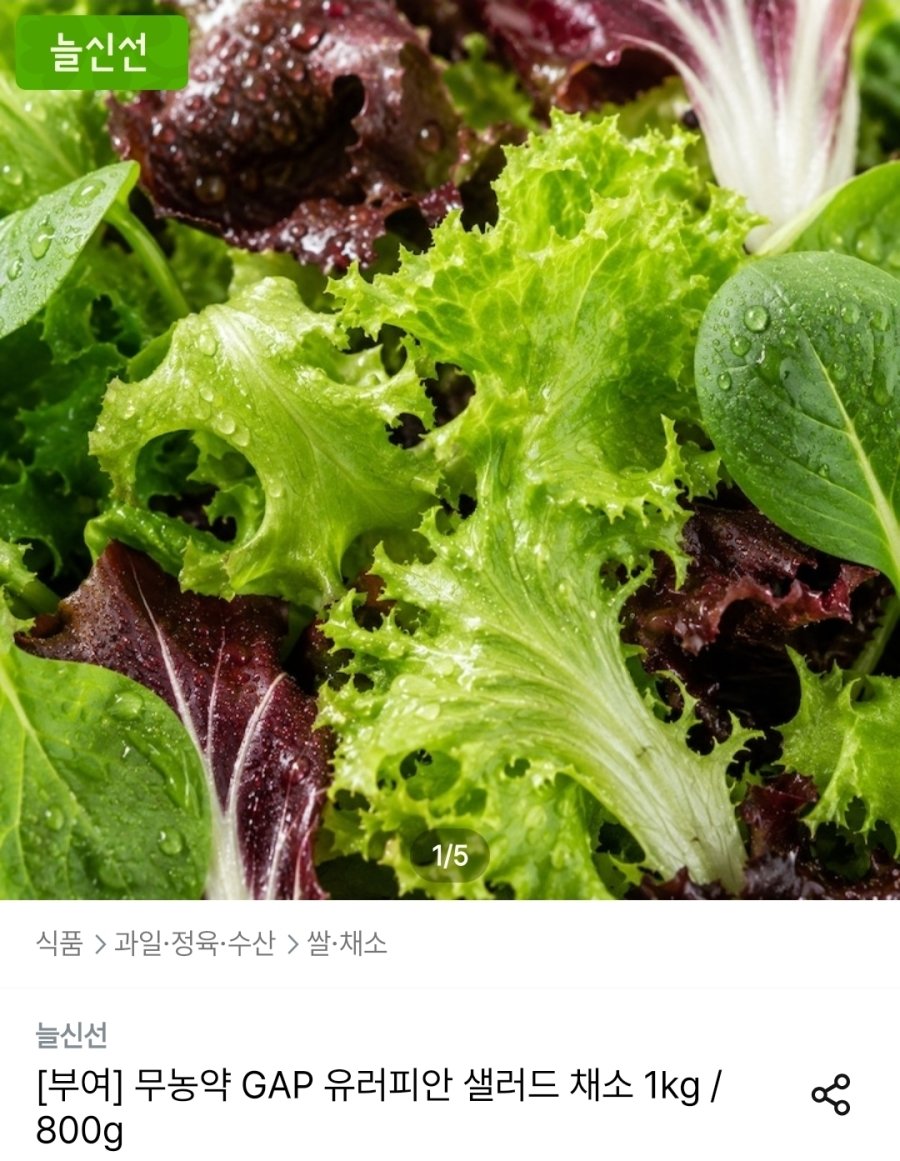 [오늘의집] 무농약 GAP 유러피안 샐러드 채소 800g