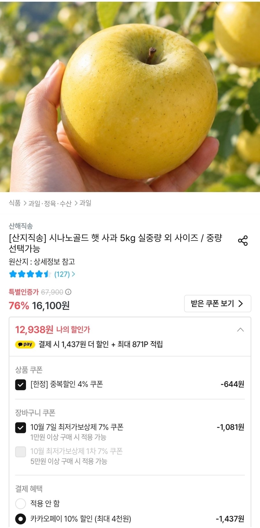 [오늘의집] 시나노골드 햇 사과 5kg 소과 23-28과 내외