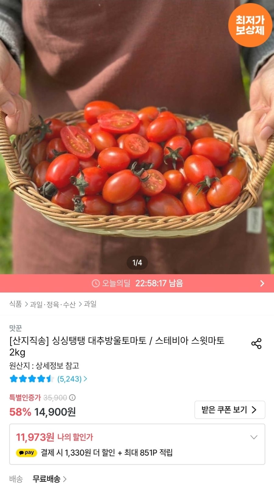 [오늘의집] 대추방울토마토 2kg 4~5번과