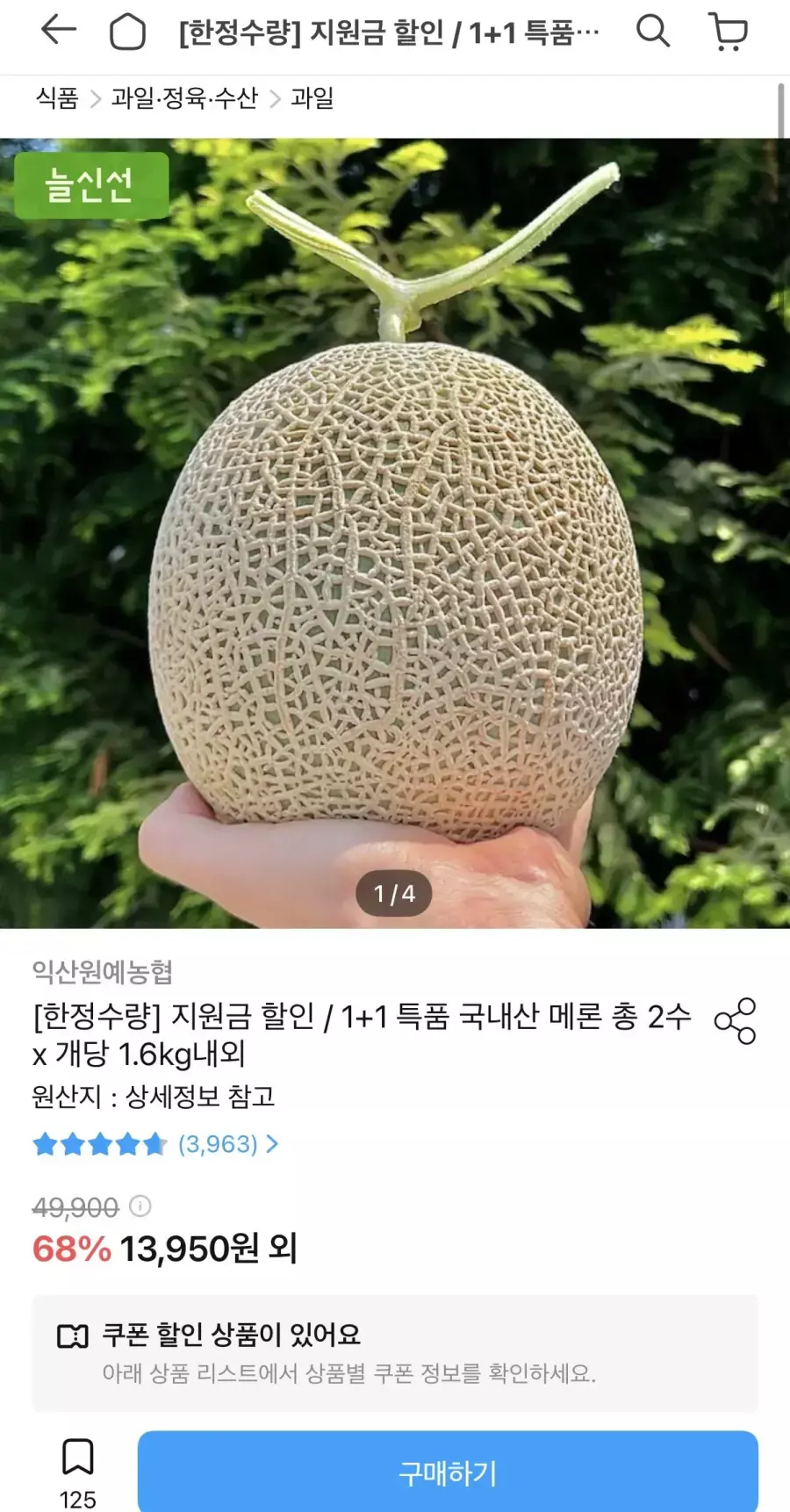 [오늘의집] 농협 국내산 고당도 머스크메론 특품 1.6kg 2수