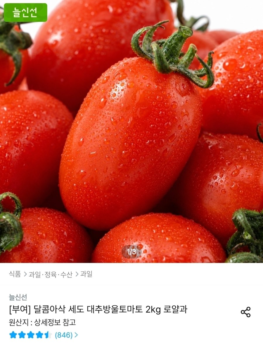 [오늘의집] 대추방울토마토 2kg 로얄과