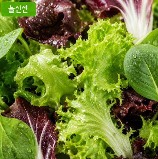 [오늘의집] 유러피안 샐러드 채소 1kg