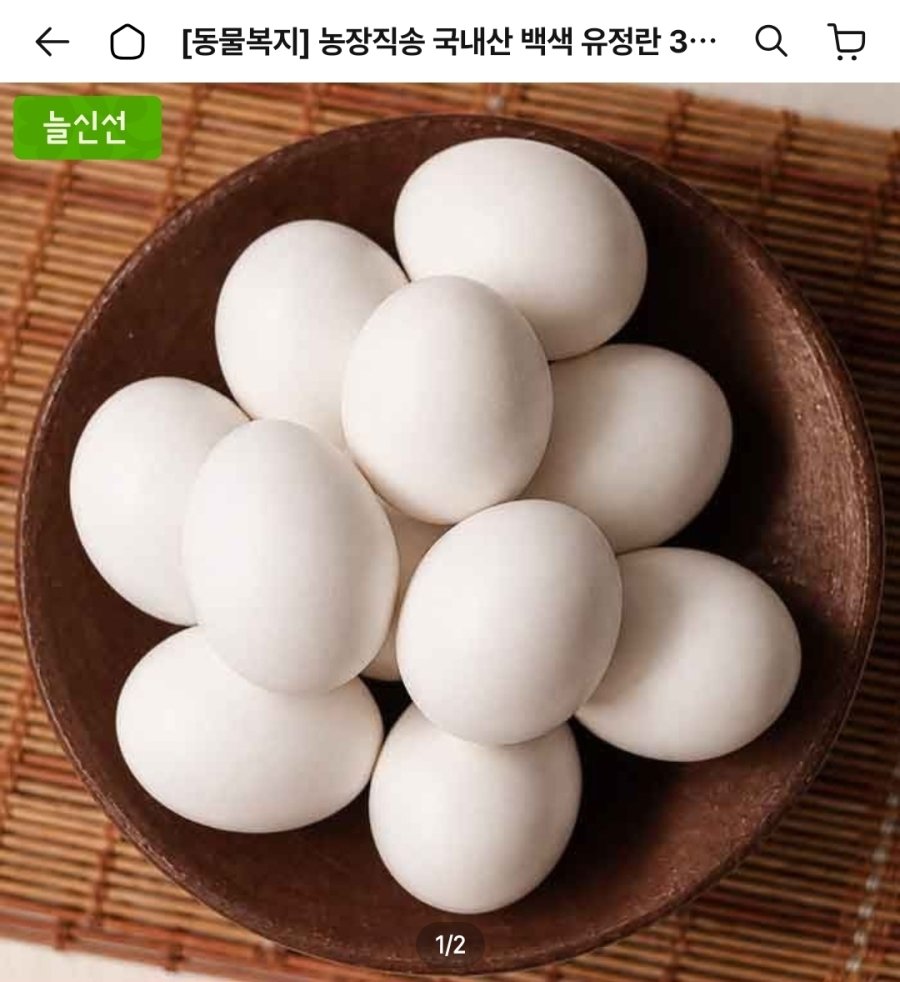 [오늘의집] 동물복지 유정란 60구 대란